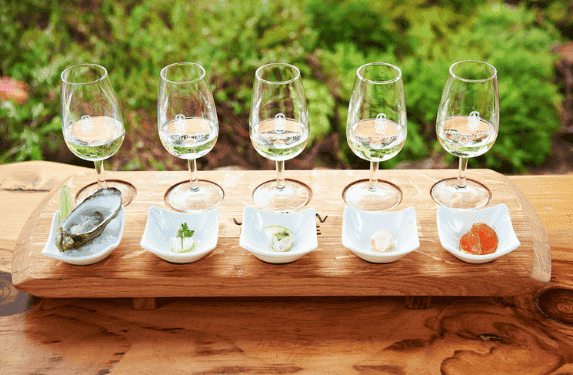 LỰA CHỌN CỦA CHUYÊN GIA