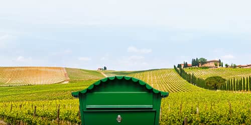 INTRODUCTION OF EUROPEAN TECHNOLOGY