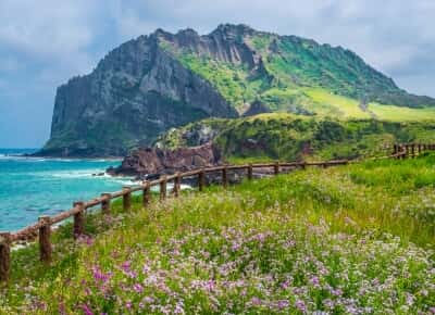 Thư viện video Việt Nam Tourism