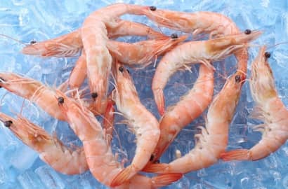Vasep forecast upbeat shrimp export growth for 2018