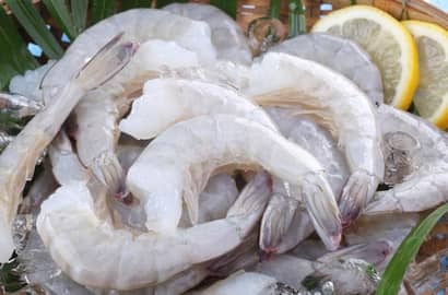 Vasep forecast upbeat shrimp export growth for 2018