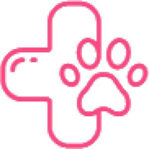 Chăm Sóc Thú Cưng