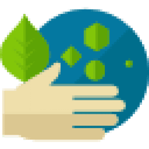 Hệ Thống Sinh Thái