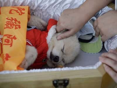 Chăm Sóc Mẹ Và Bé Trong Những Ngày Đầu Sau Sinh